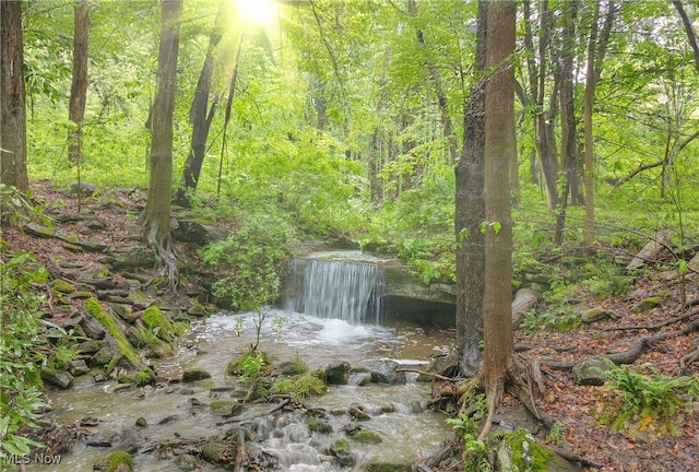 5360 Som Center Rd, Solon, OH 44139 - view of yard with a forest view