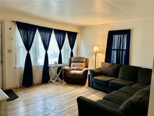 1214 Wentworth Ave, Toronto, OH 43964 - living room featuring plenty of natural light and wood finished floors