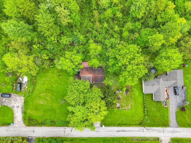 14721 Zenith Dr, Newbury, OH 44065 - bird's eye view