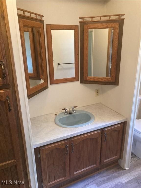 1229 Columbiana Lisbon Rd Unit 39, Columbiana, OH 44408 - bathroom with vanity, toilet, and wood finished floors