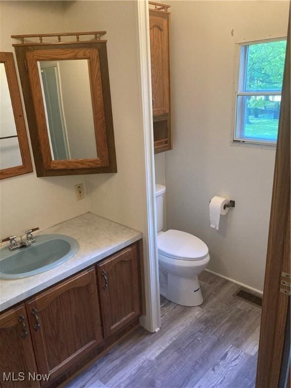 1229 Columbiana Lisbon Rd Unit 39, Columbiana, OH 44408 - bathroom featuring vanity, toilet, and wood finished floors