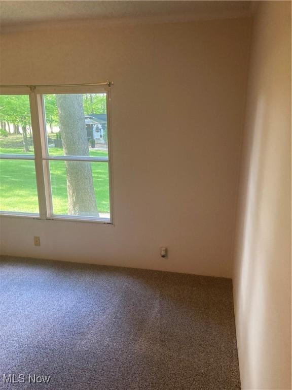 1229 Columbiana Lisbon Rd Unit 39, Columbiana, OH 44408 - view of carpeted empty room