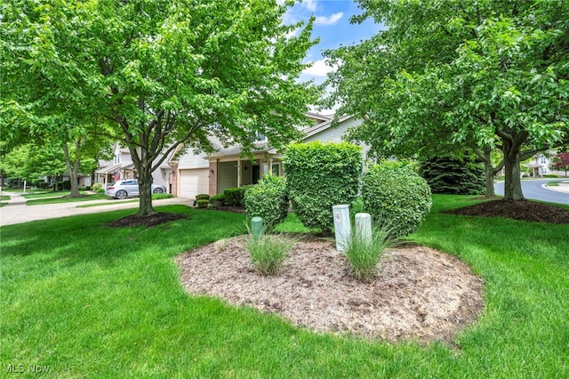 6811 Meadow Ln, Cleveland, OH 44130 - view of property hidden behind natural elements with a garage and a front lawn