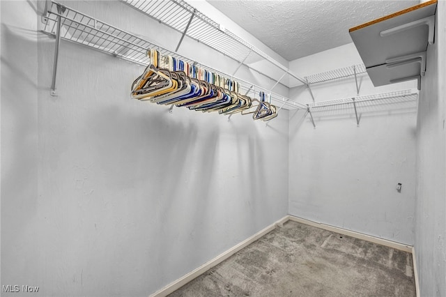 6811 Meadow Ln, Cleveland, OH 44130 - walk in closet with carpet floors