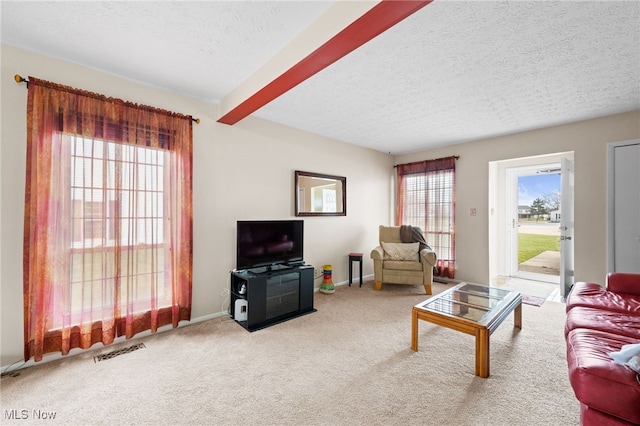 6874 Stratford Cir Unit D, Mentor, OH 44060 - living room with carpet, a textured ceiling, and baseboards