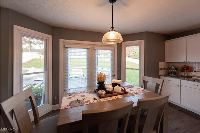 10957 Mogadore Ave NW, Uniontown, OH 44685 - dining room featuring dark wood-style floors
