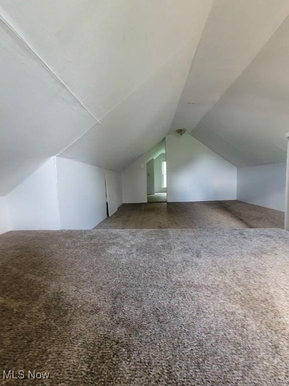 237 W Union St, Medina, OH 44256 - bonus room with carpet floors and vaulted ceiling