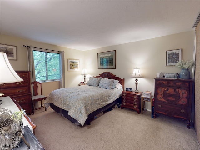 1651 Mentor Ave Unit 3002, Painesville, OH 44077 - bedroom featuring light colored carpet