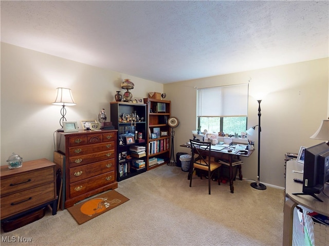 1651 Mentor Ave Unit 3002, Painesville, OH 44077 - office area with carpet floors and a textured ceiling