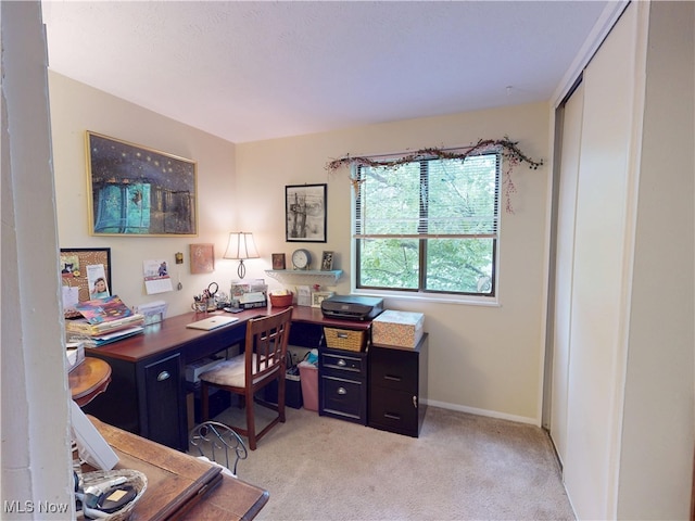 1651 Mentor Ave Unit 3002, Painesville, OH 44077 - office area featuring light colored carpet and baseboards