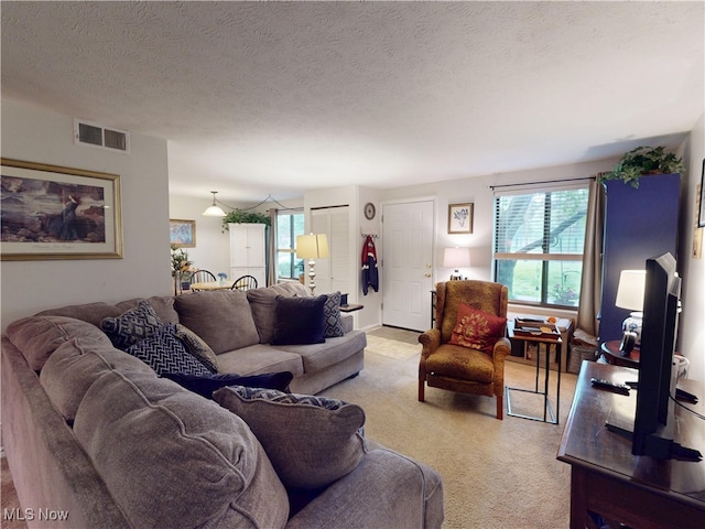 1651 Mentor Ave Unit 3002, Painesville, OH 44077 - living room featuring carpet floors and a textured ceiling