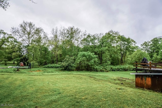29655 Buck Rd, Salem, OH 44460 - view of green lawn