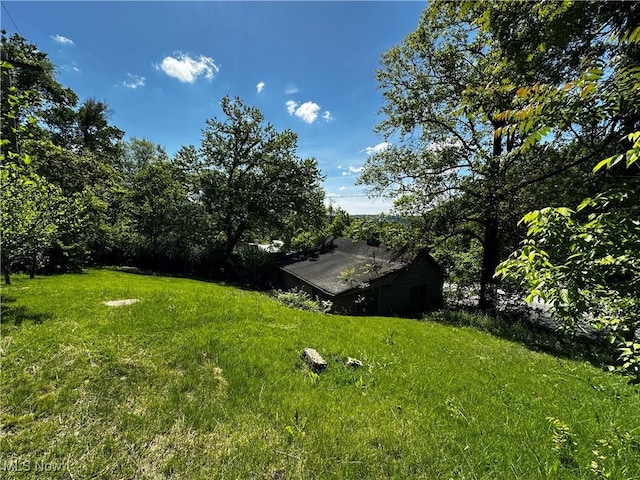 1836 Colerain Pike, Martins Ferry, OH 43935 - view of yard