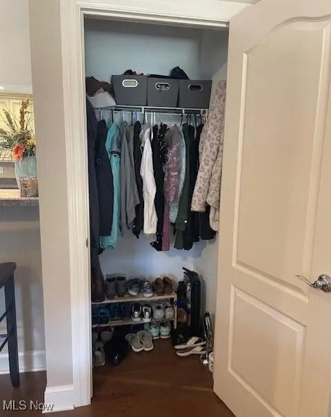 170 Sandy Ct Unit 11, New Middletown, OH 44442 - view of closet