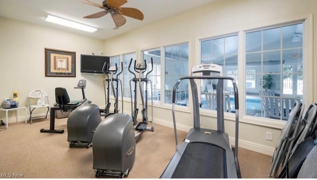 170 Sandy Ct Unit 11, New Middletown, OH 44442 - workout room with a ceiling fan, carpet floors, and healthy amount of natural light