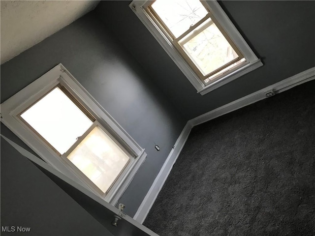 14413 Coit Rd, Cleveland, OH 44110 - detailed view of carpet and baseboards
