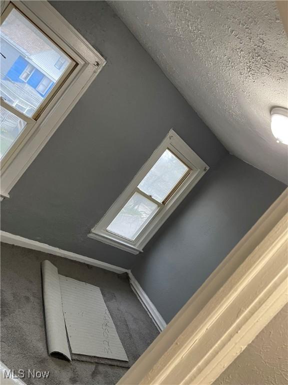 14413 Coit Rd, Cleveland, OH 44110 - detailed view of carpet floors, baseboards, and a textured ceiling