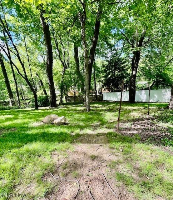 201 Valleyview Dr, Kent, OH 44240 - view of yard