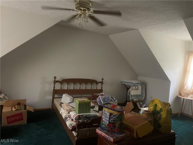 9439 Williams Rd, Diamond, OH 44412 - additional living space featuring carpet, lofted ceiling, a ceiling fan, a textured ceiling, and baseboards