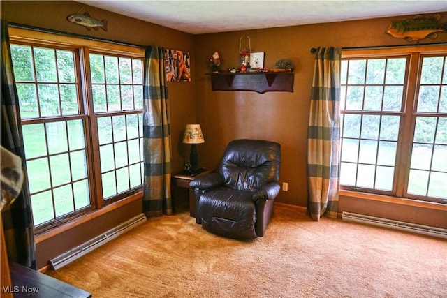 5399 N Elyria Rd, West Salem, OH 44287 - living area featuring plenty of natural light, baseboard heating, and carpet