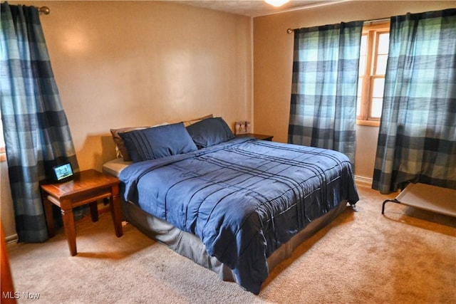 5399 N Elyria Rd, West Salem, OH 44287 - view of carpeted bedroom