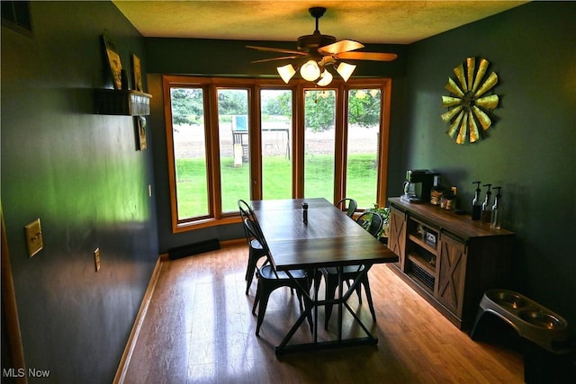 5399 N Elyria Rd, West Salem, OH 44287 - dining space with plenty of natural light, wood finished floors, ceiling fan, and baseboards