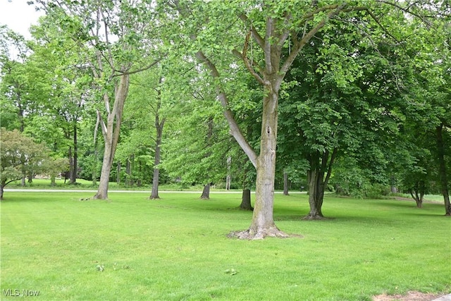 5399 N Elyria Rd, West Salem, OH 44287 - view of grassy yard