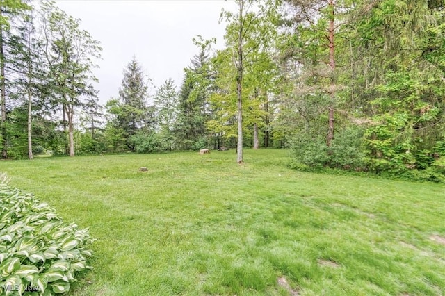 11484 Willow Hill Dr, Chesterland, OH 44026 - photo 28