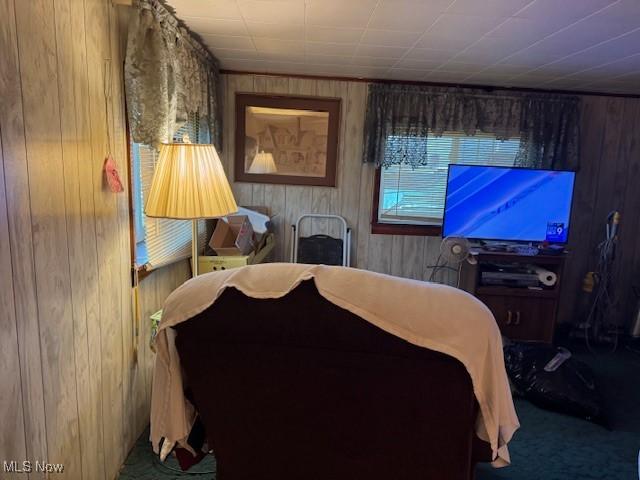 801 High St, Wellsburg, WV 26070 - carpeted bedroom with wooden walls