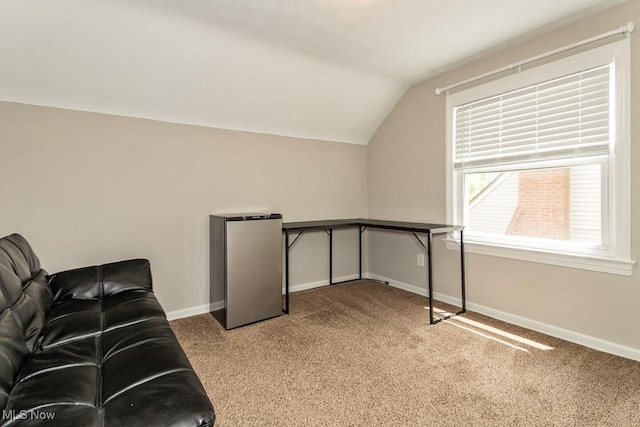 1620 S Taylor Rd, Cleveland Heights, OH 44118 - home office with vaulted ceiling, carpet floors, and baseboards