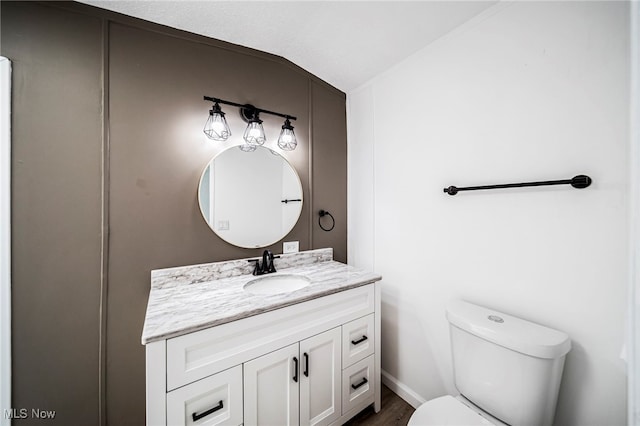 141 Marilyn Dr, Madison, OH 44057 - half bathroom with toilet, vanity, wood finished floors, and vaulted ceiling