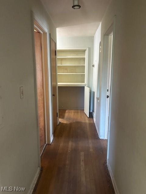 1081 Carver Rd, Cleveland Heights, OH 44112 - hallway featuring wood-type flooring