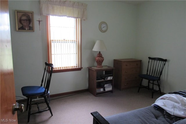 2313 W 13th St, Ashtabula, OH 44004 - bedroom with carpet floors
