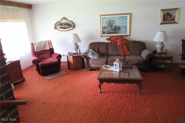 2313 W 13th St, Ashtabula, OH 44004 - view of carpeted living room