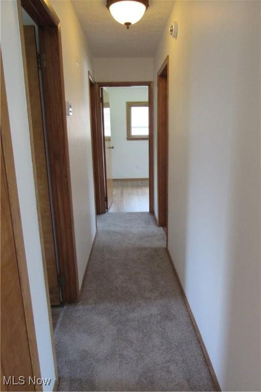 3318 Avon Blvd, Ashtabula, OH 44004 - hallway featuring light carpet