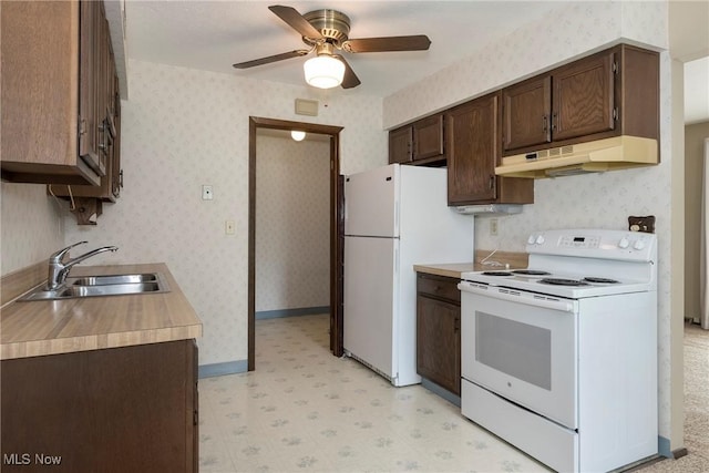 6533 Engle Rd, Brook Park, OH 44142 - kitchen featuring white appliances, under cabinet range hood, a sink, dark brown cabinets, and a ceiling fan