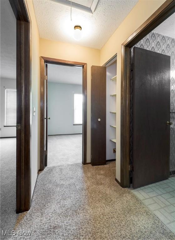 6533 Engle Rd, Brook Park, OH 44142 - hall with carpet, a textured ceiling, and attic access