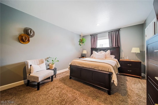 9012 Winesburg Rd, Dundee, OH 44624 - bedroom featuring carpet floors, baseboards, and recessed lighting