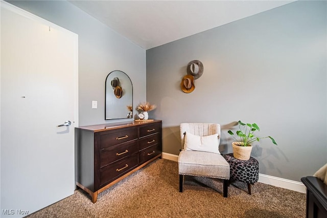 9012 Winesburg Rd, Dundee, OH 44624 - living area with carpet and baseboards