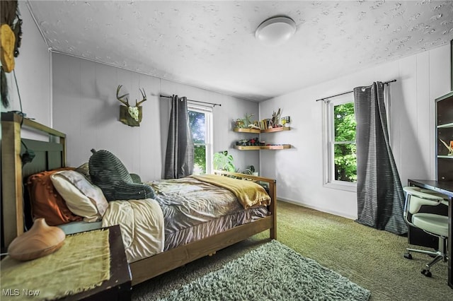 9012 Winesburg Rd, Dundee, OH 44624 - bedroom with carpet floors and a textured ceiling