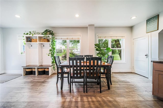9012 Winesburg Rd, Dundee, OH 44624 - dining area with plenty of natural light, wood finished floors, baseboards, and recessed lighting
