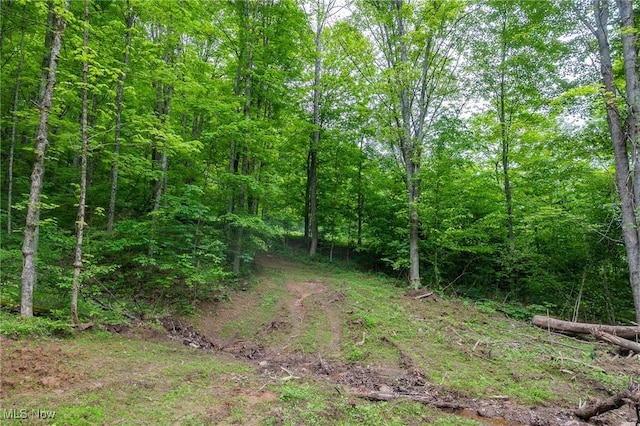 Epler Rd, Lowell, OH 45744
