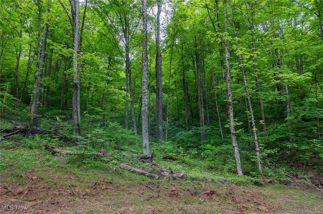 Epler Rd, Lowell, OH 45744