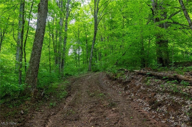 Epler Rd, Lowell, OH 45744