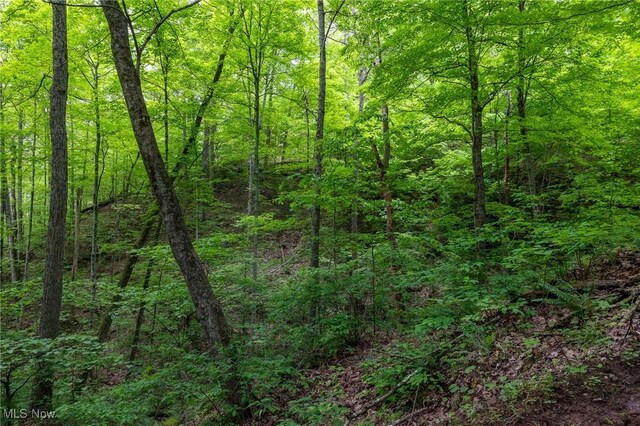 Epler Rd, Lowell, OH 45744