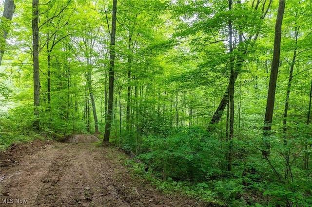Epler Rd, Lowell, OH 45744