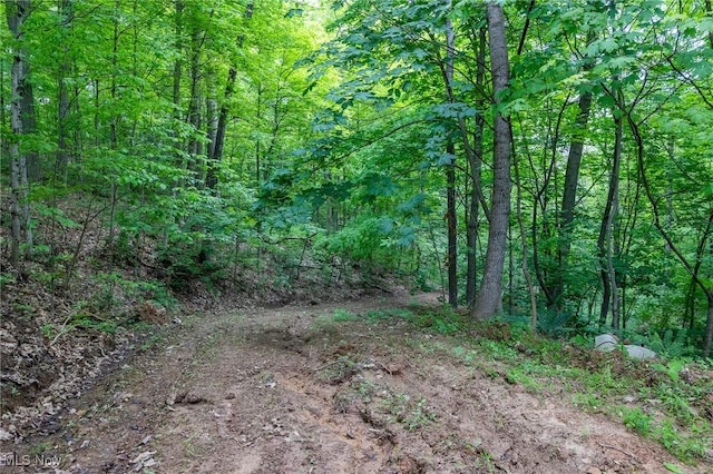 Epler Rd, Lowell, OH 45744