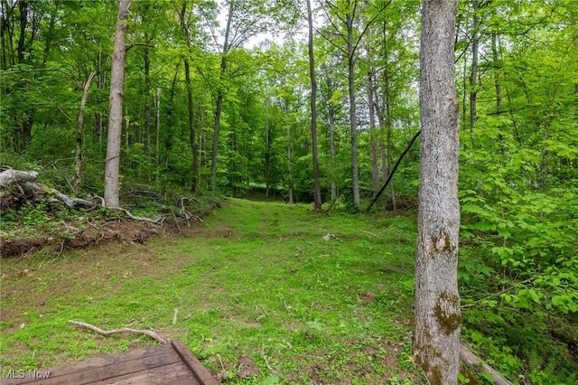 Epler Rd, Lowell, OH 45744
