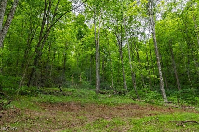 Epler Rd, Lowell, OH 45744