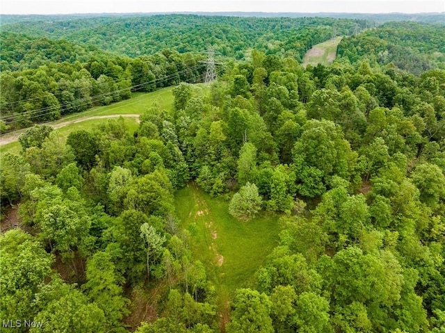 Epler Rd, Lowell, OH 45744